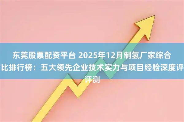 东莞股票配资平台 2025年12月制氢厂家综合对比排行榜：五大领先企业技术实力与项目经验深度评测