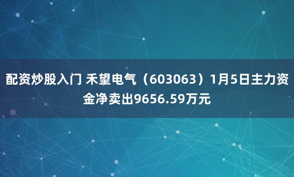 配资炒股入门 禾望电气（603063）1月5日主力资金净卖出9656.59万元